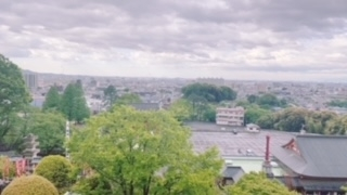 京 さゆみ