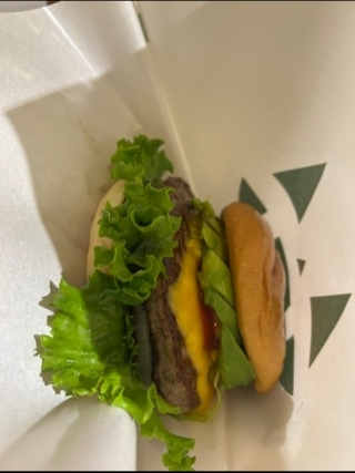空条 しいな