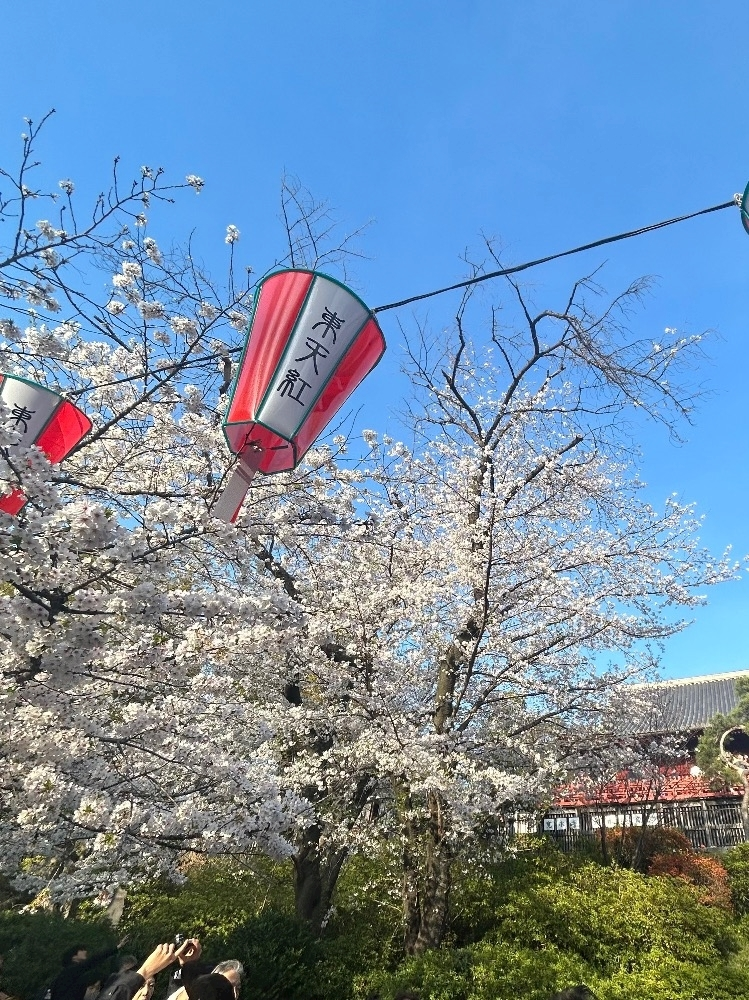 もも