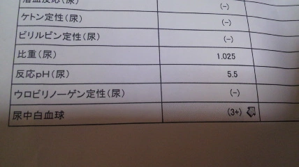 彩