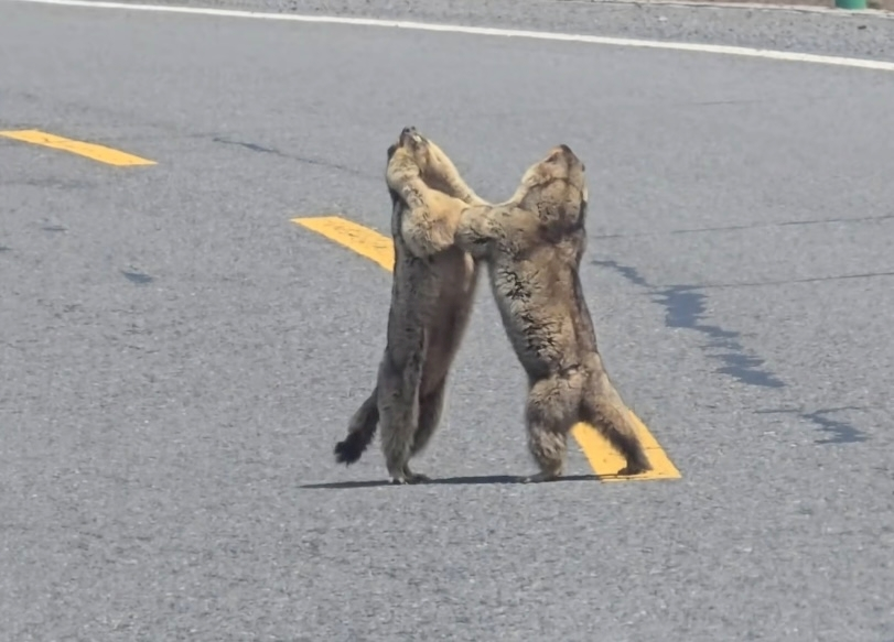 なつき