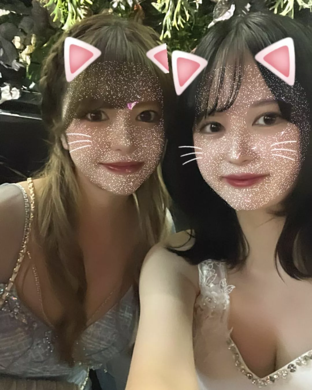 ゆめ