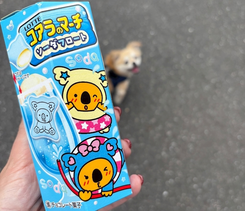 しずか