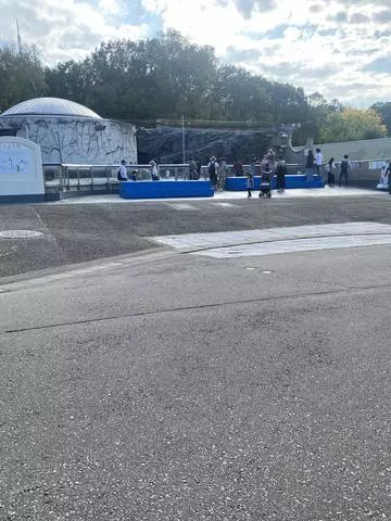 長瀬 純恋