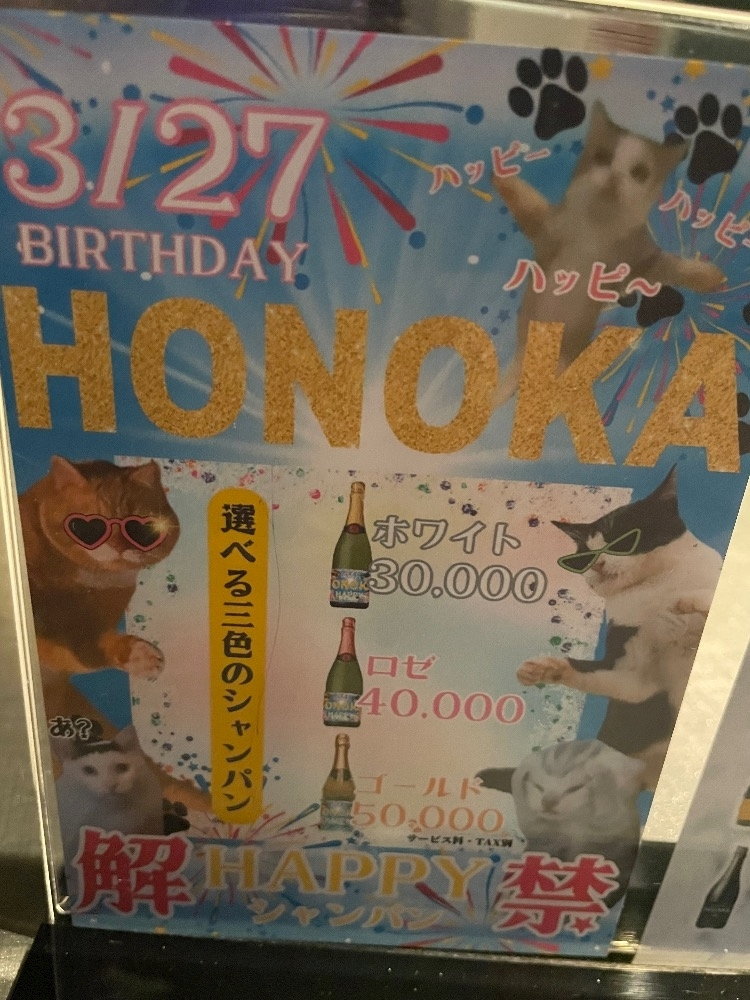 朝倉 しおり