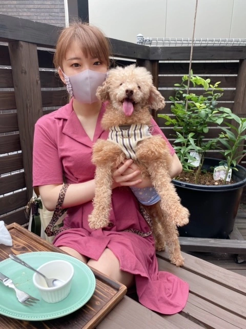 しおり