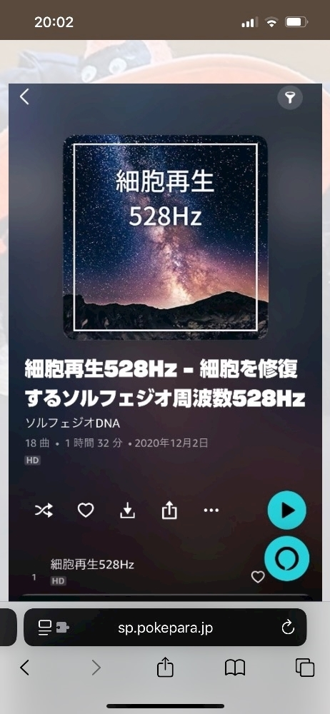 八神 ゆうこ