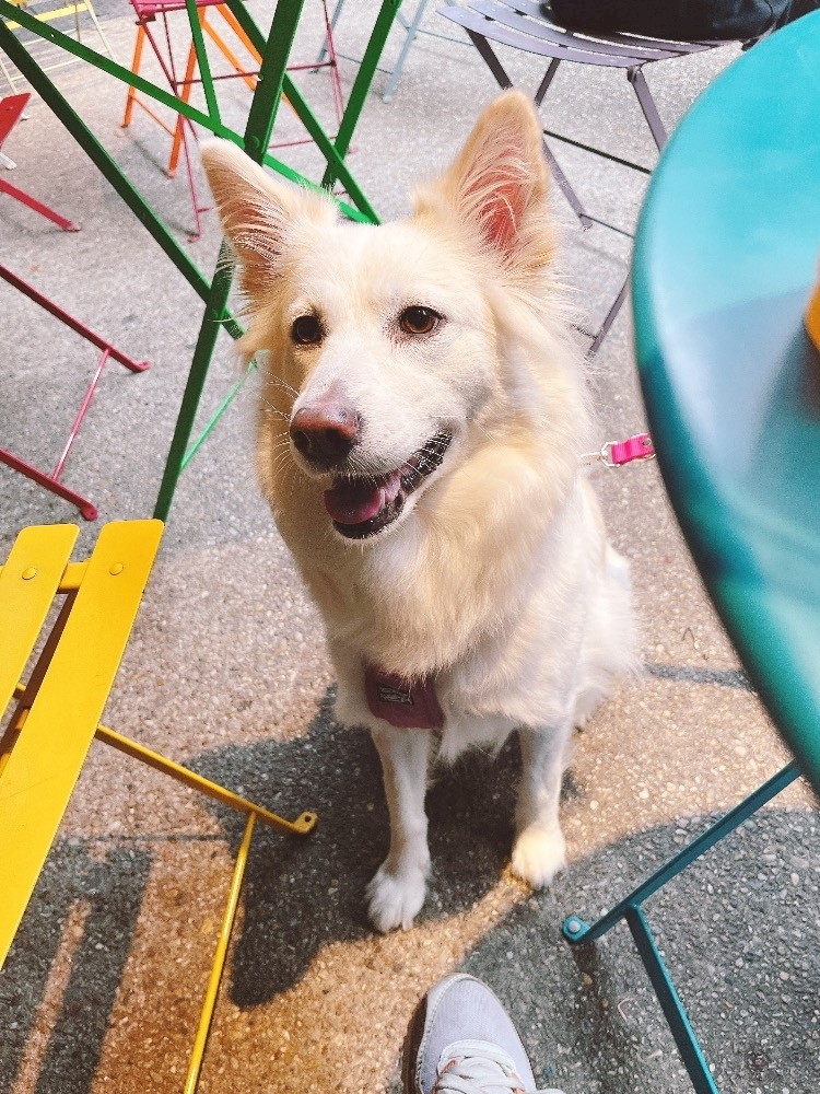 京 さゆみ