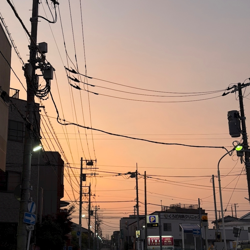 せら