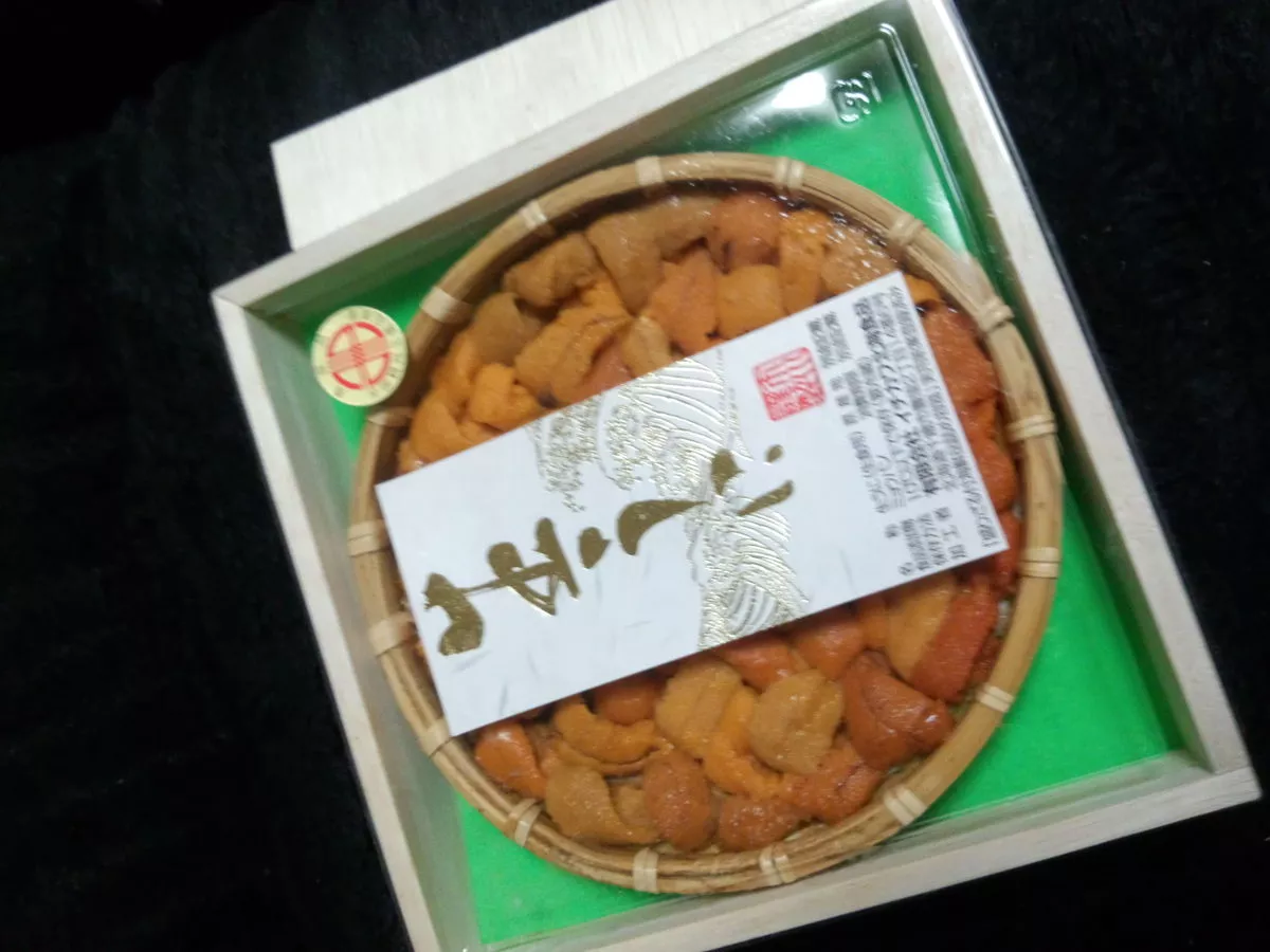 橘 あんな