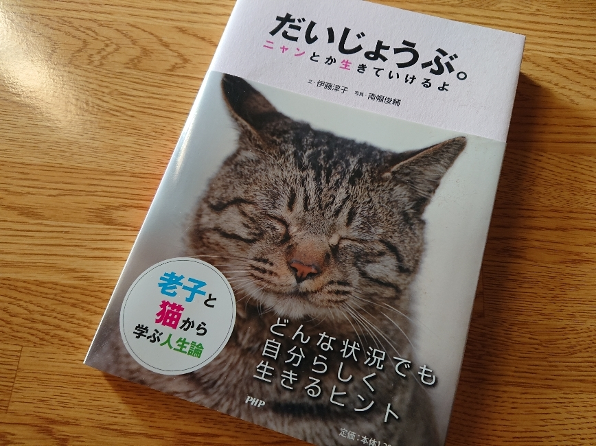 五条 椿