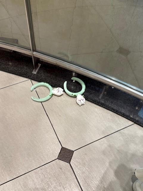 ゆきの