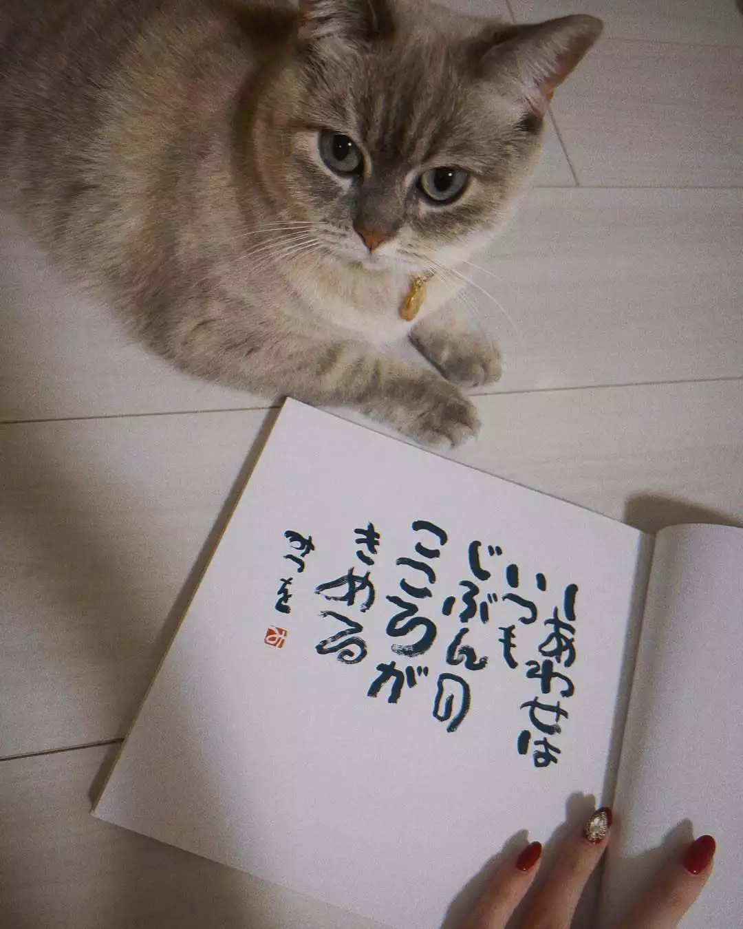 櫛名田 安椰