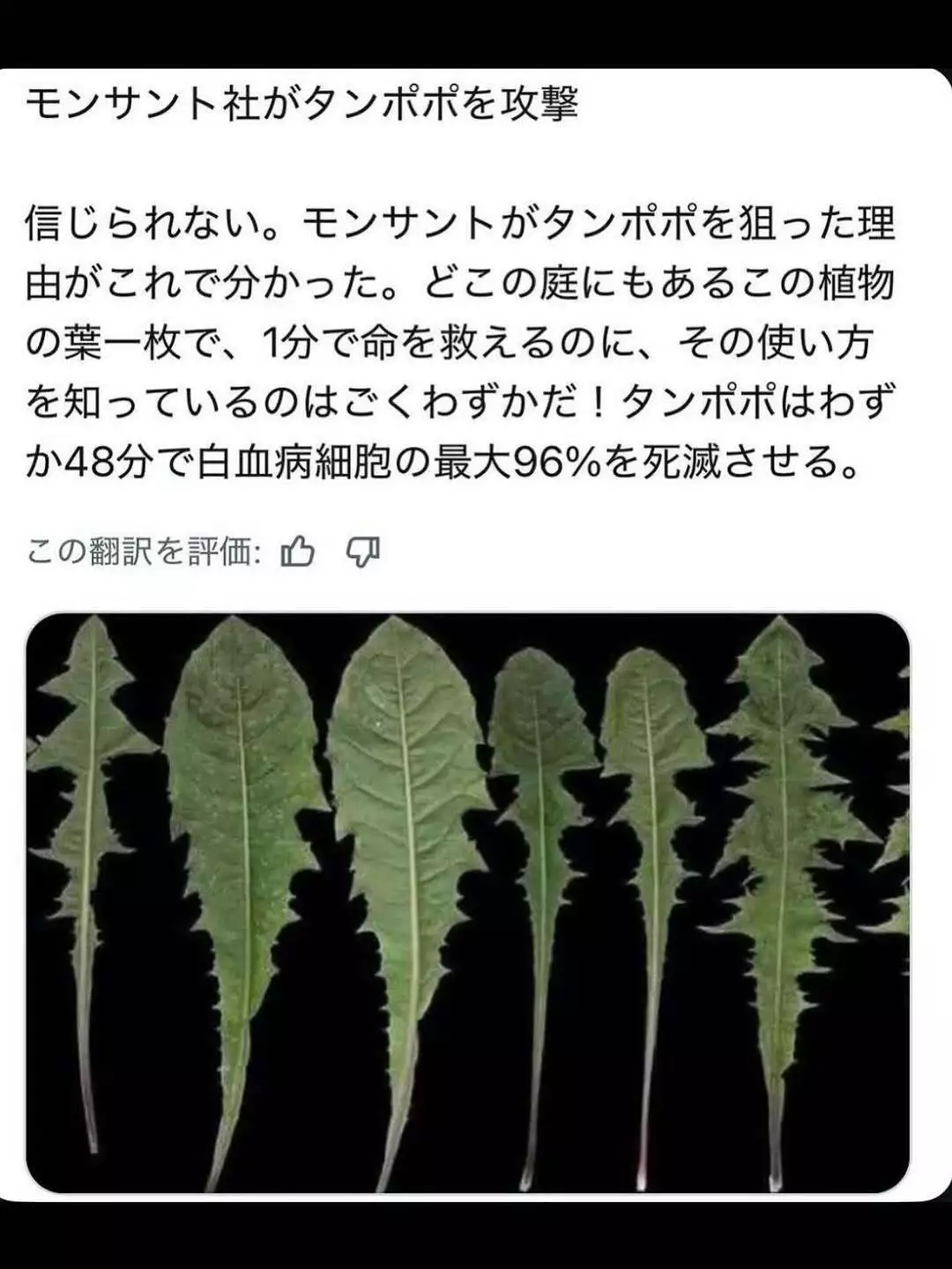 藤本 祐子ママ