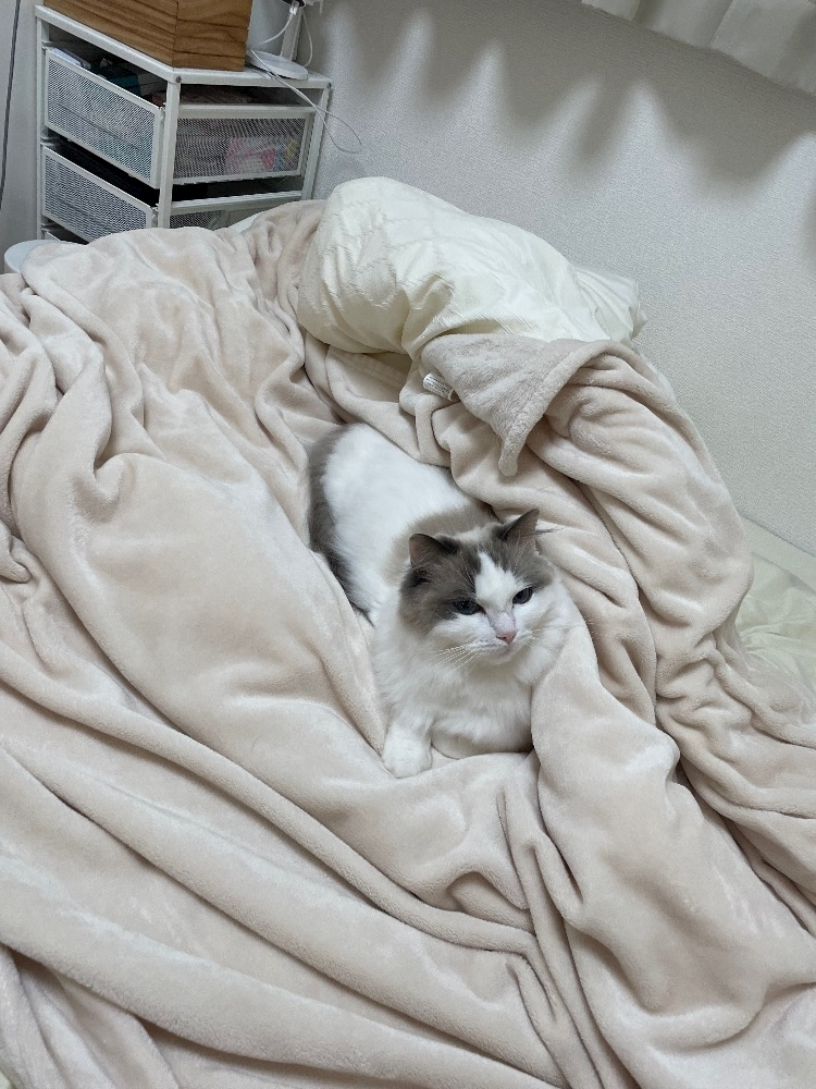 辻 みなみ