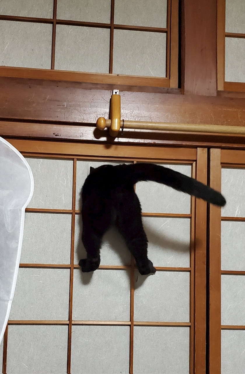 白咲 みな