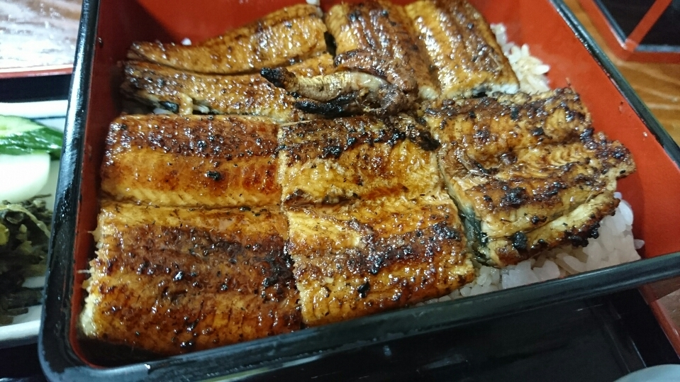 五条 椿