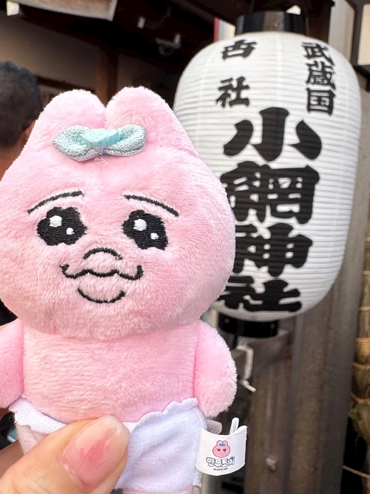 花宮 さくら