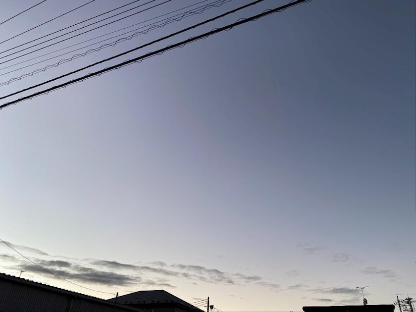 れな