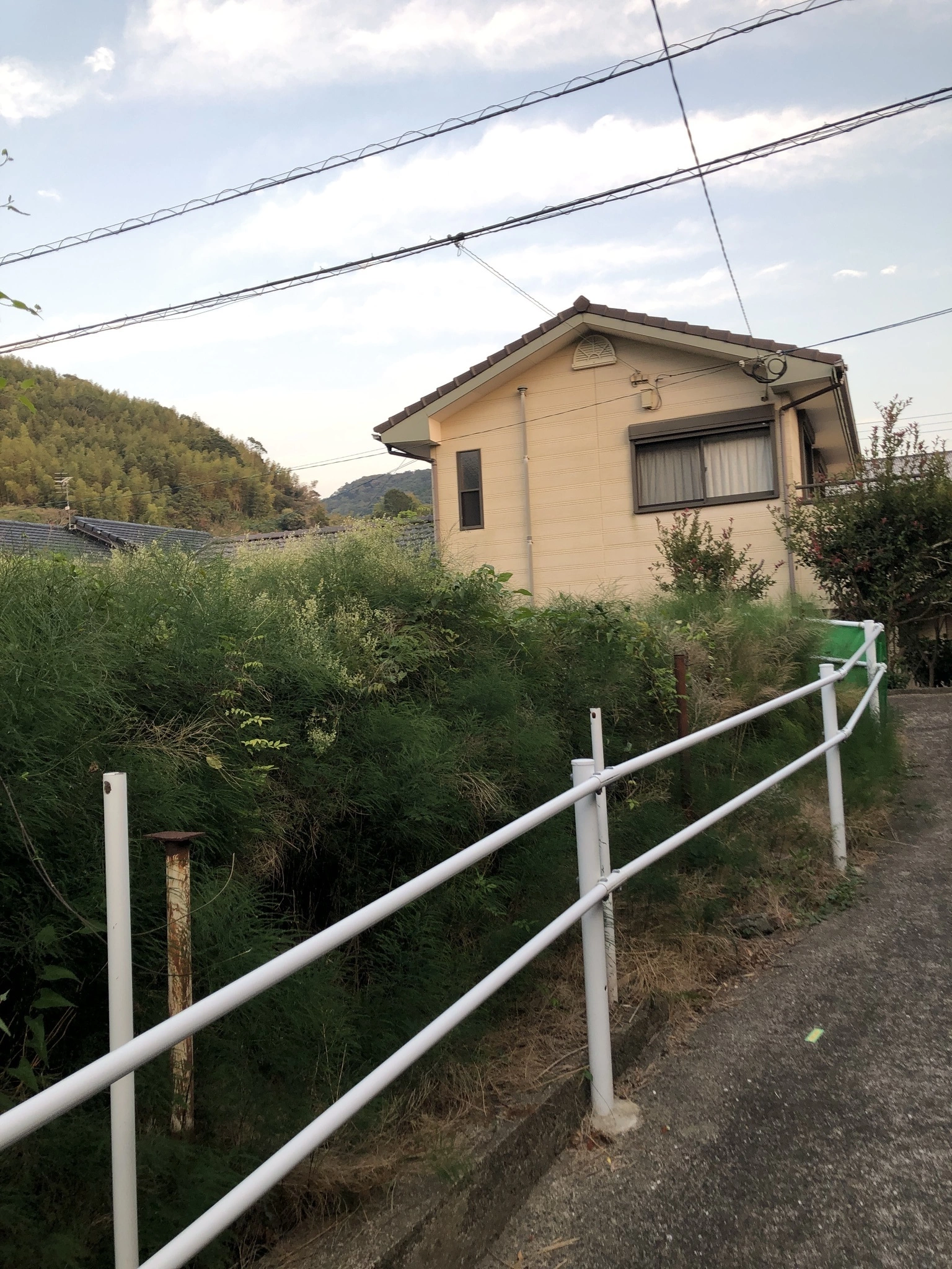 藤本 祐子ママ