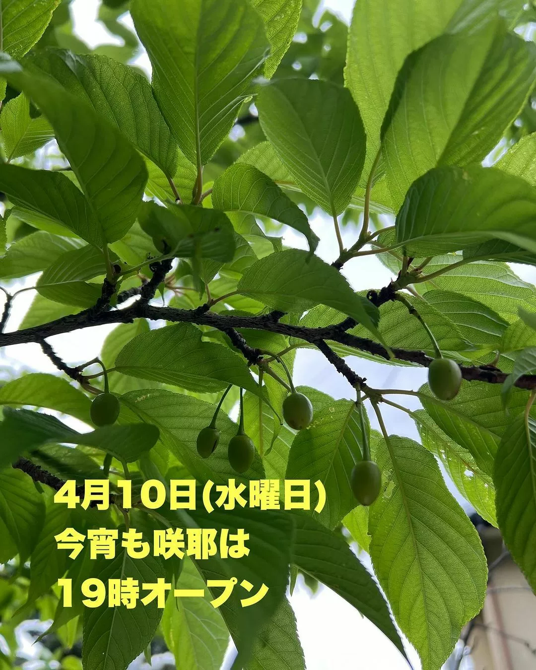 藤本 祐子ママ