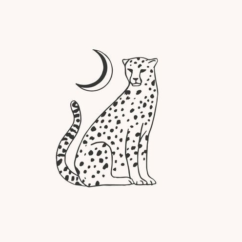 泉 りさ