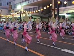 姫花