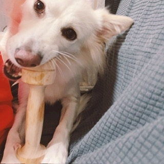 京 さゆみ
