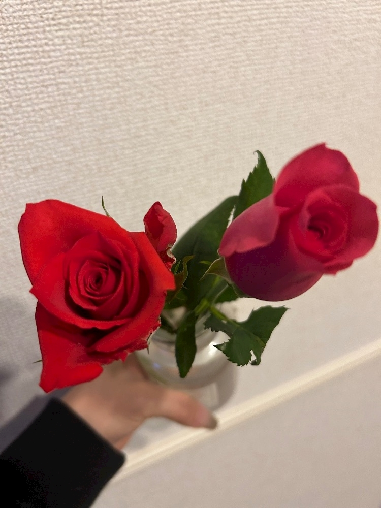 美月