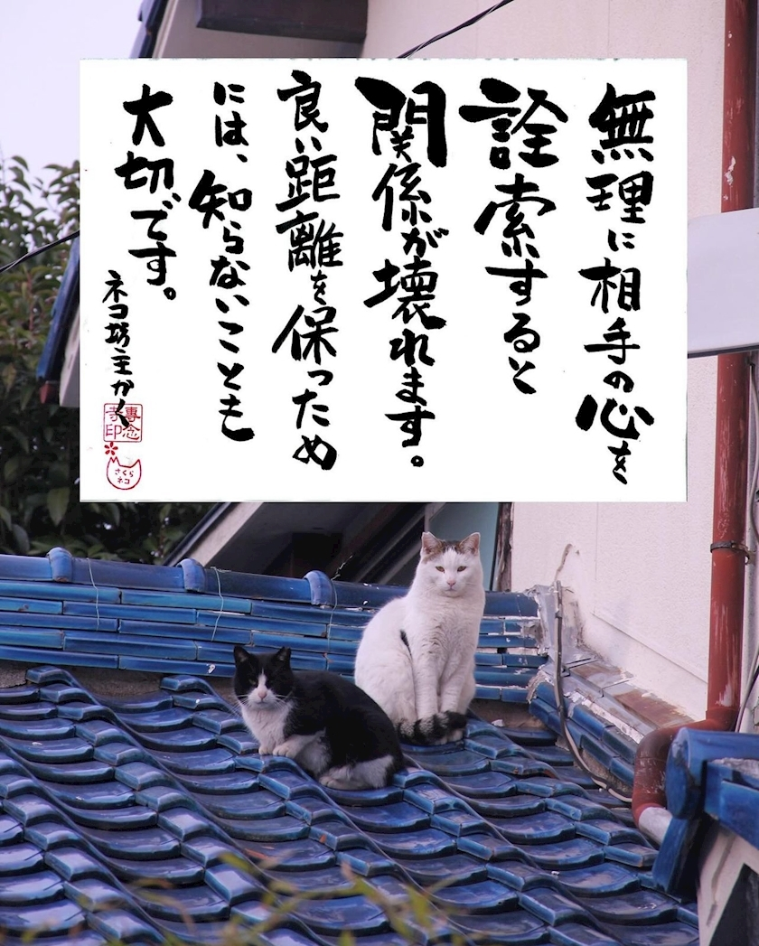 美咲 ゆい