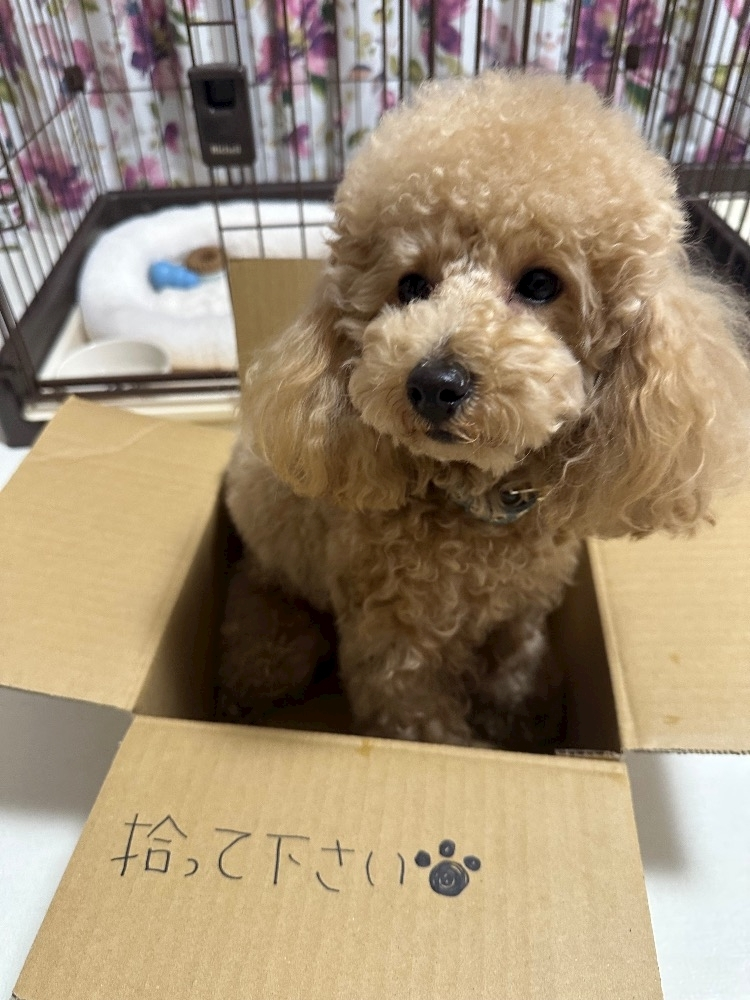日向 茉莉