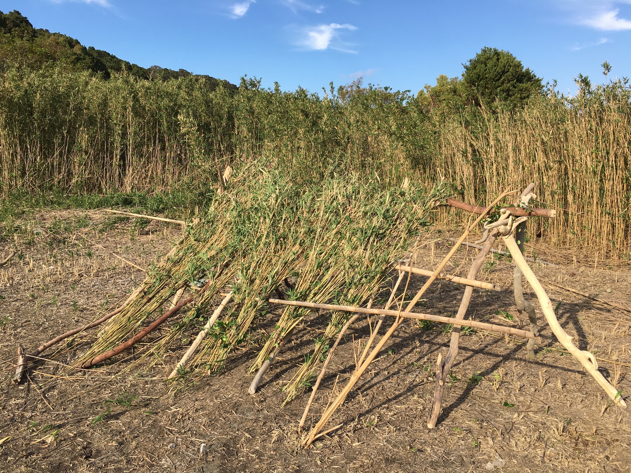 無人島サバイバルしました なちゅの日記 ブログ By Girls Cafe Bar Tokyo Lit トウキョウリット 千代田区神田三崎町 ガールズバー