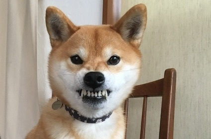 白咲 みな