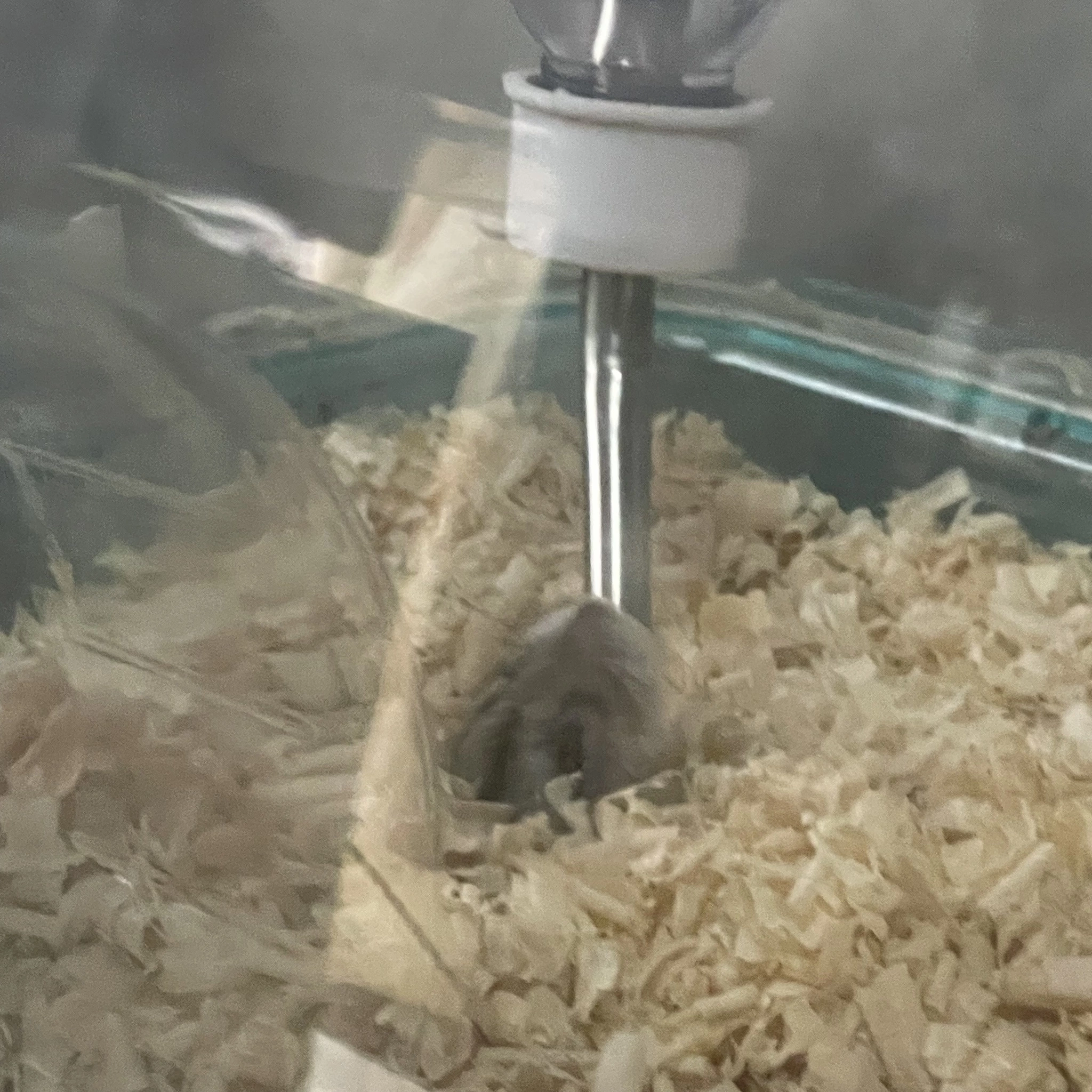 ちゃお