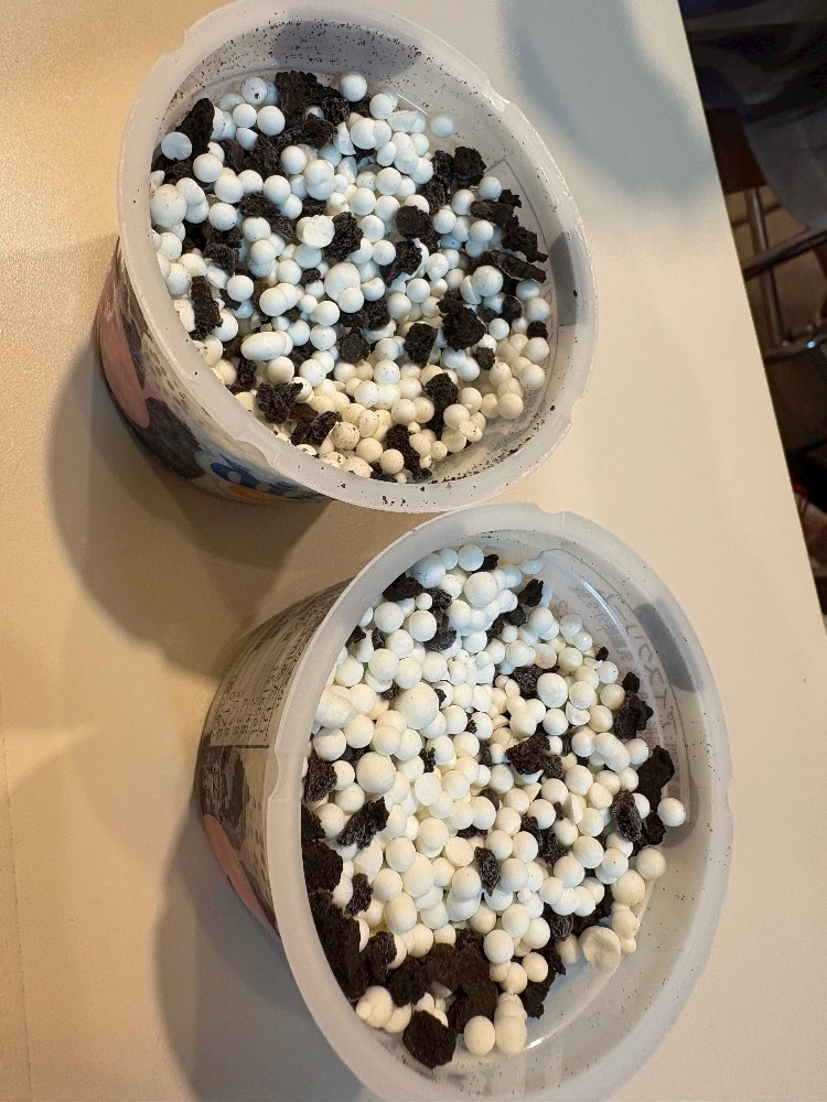 咲良 水月