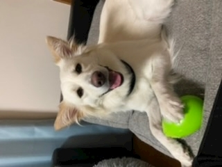 京 さゆみ