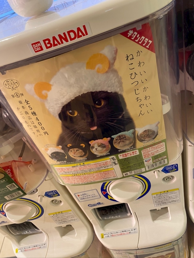 華宮 れい