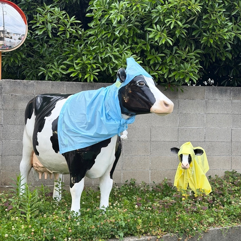 せら