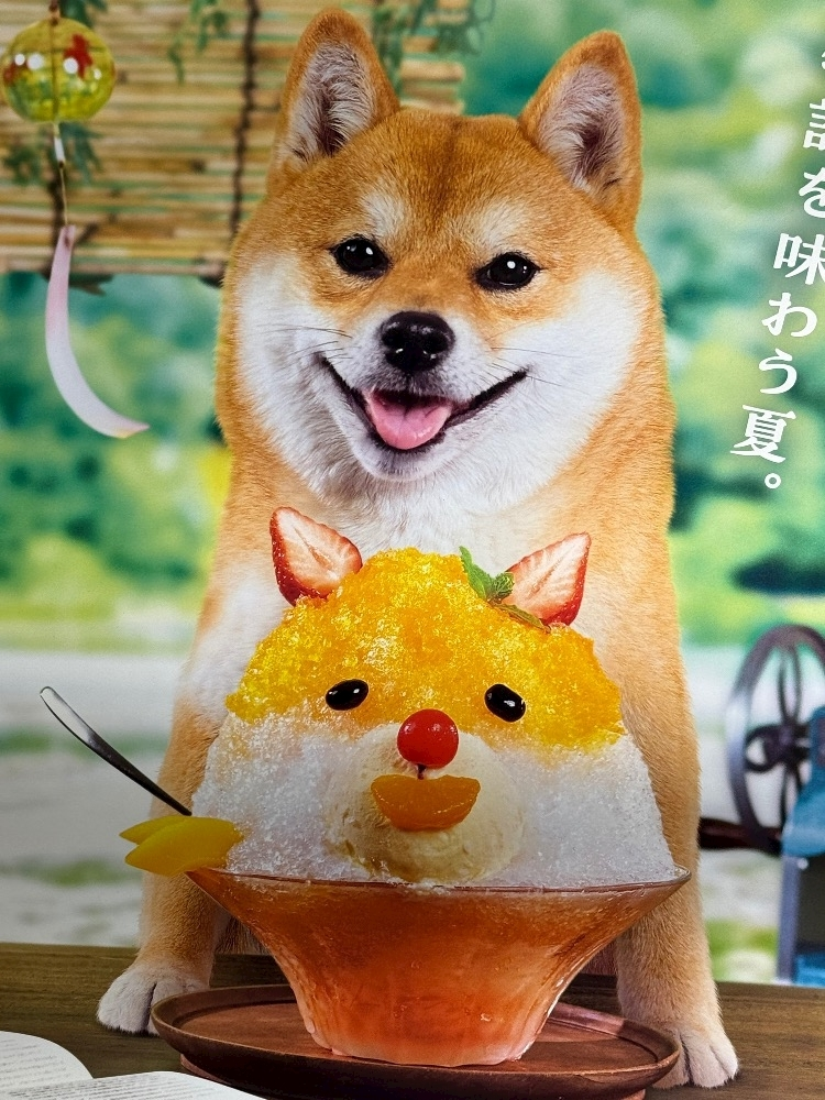 緑 四葉