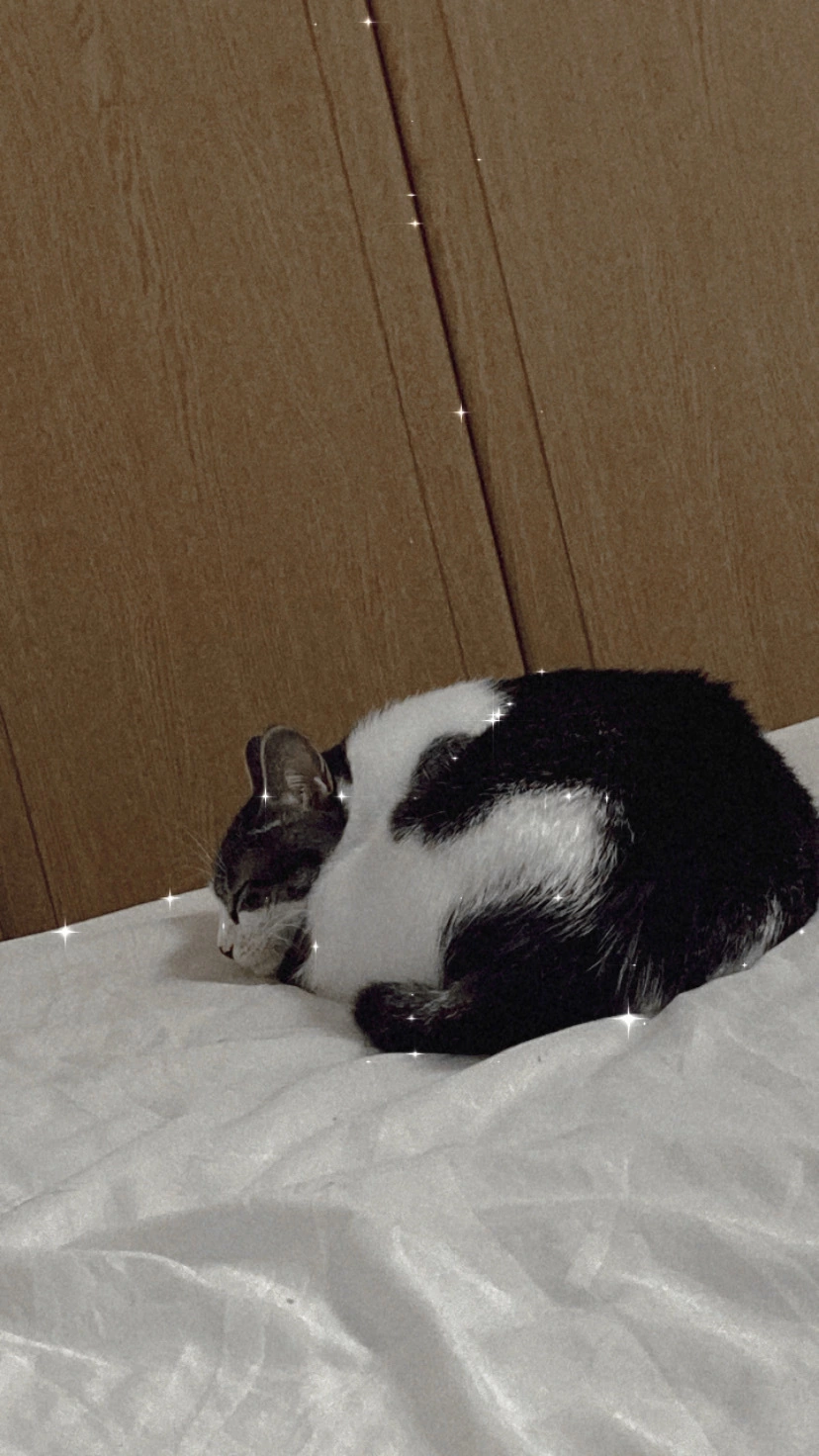 あきら