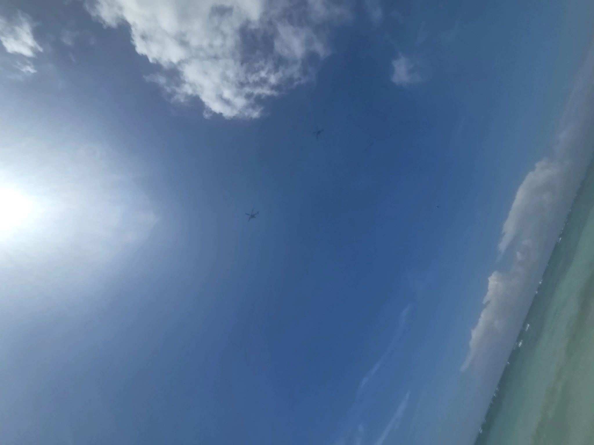 あおい