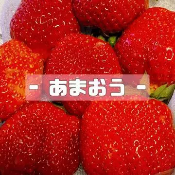 蓮海 マリーヤ