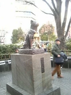 柊 ナナ