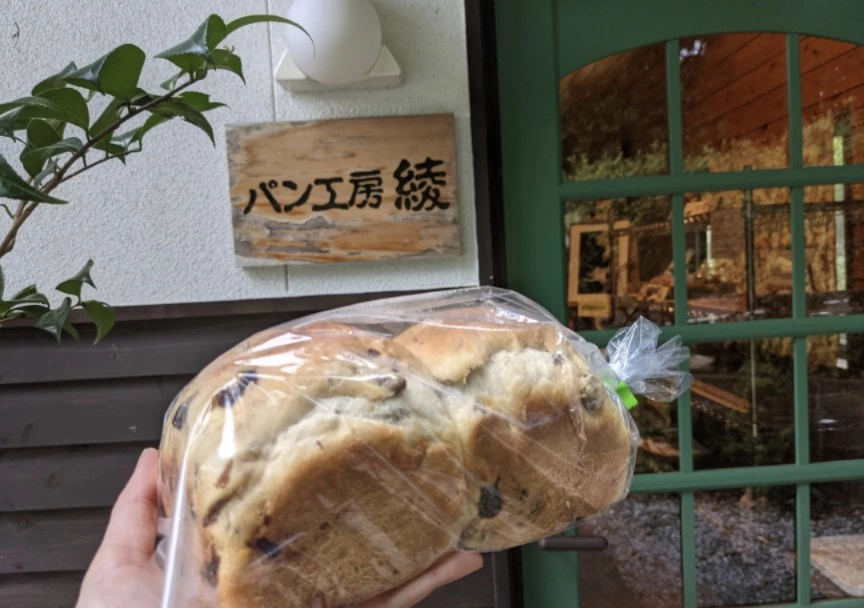 五条 椿