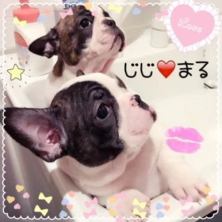 妃 えりか