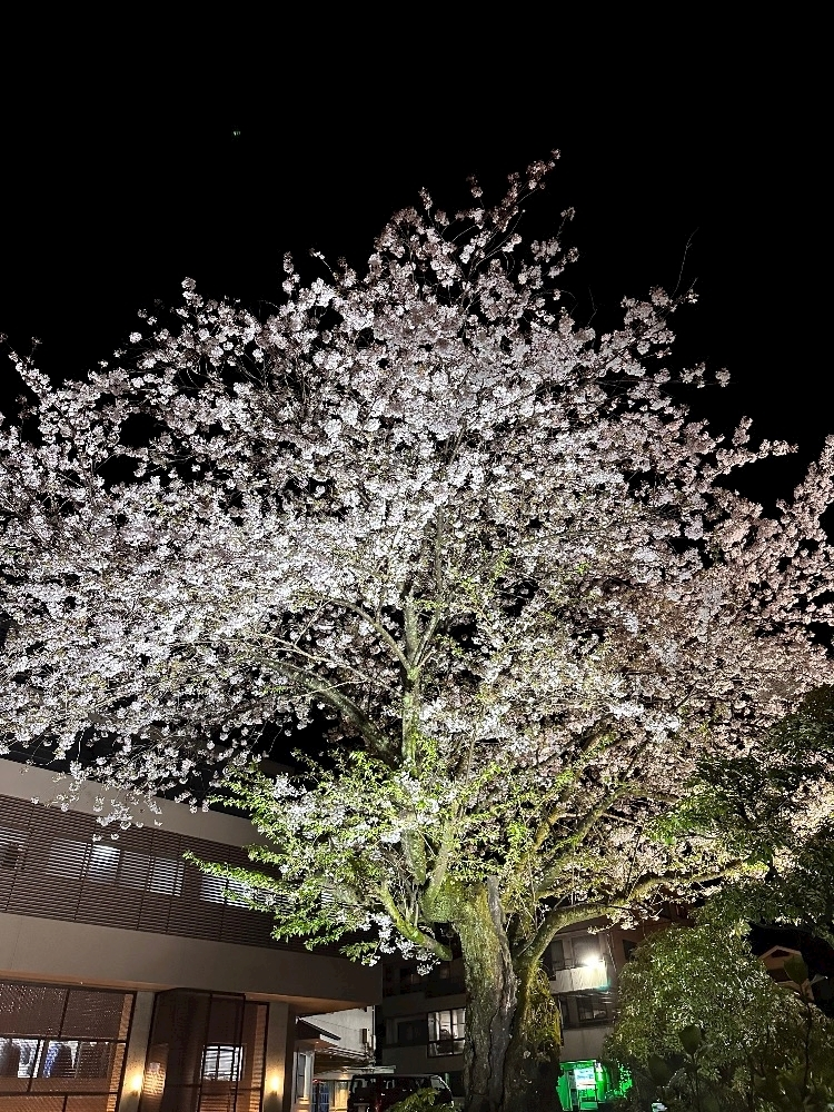 神崎 蘭