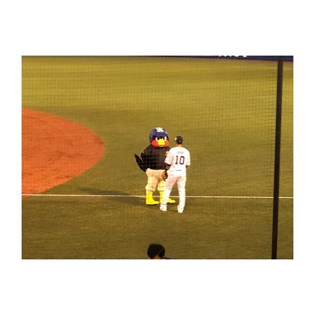 蓮