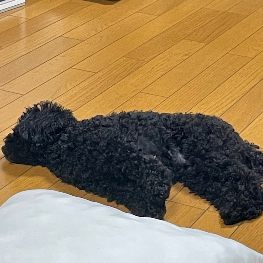五条 はるな