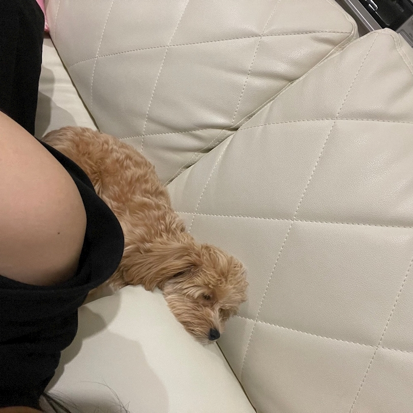 五条 はるな