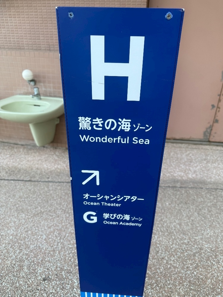 うみ